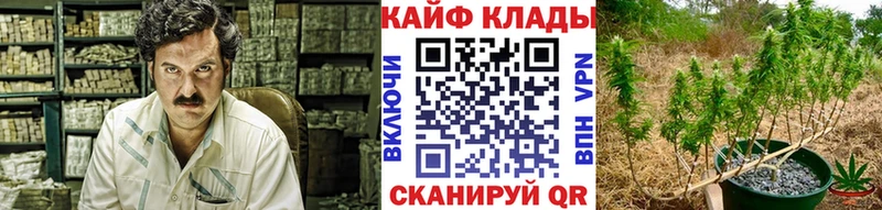 Купить ГАШ АМФЕТАМИН Мефедрон Канабис А ПВП Закаменск