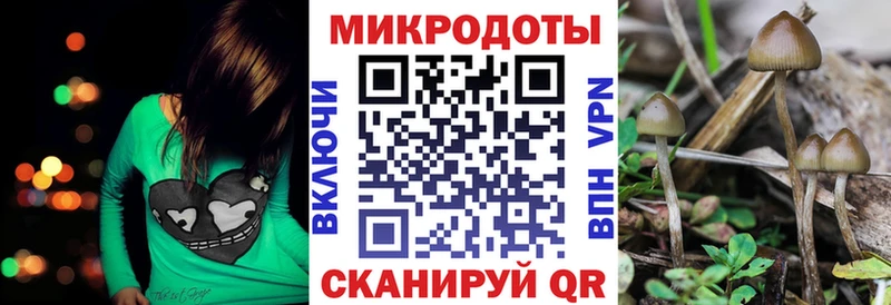 Галлюциногенные грибы GOLDEN TEACHER  Купить где  Закаменск 